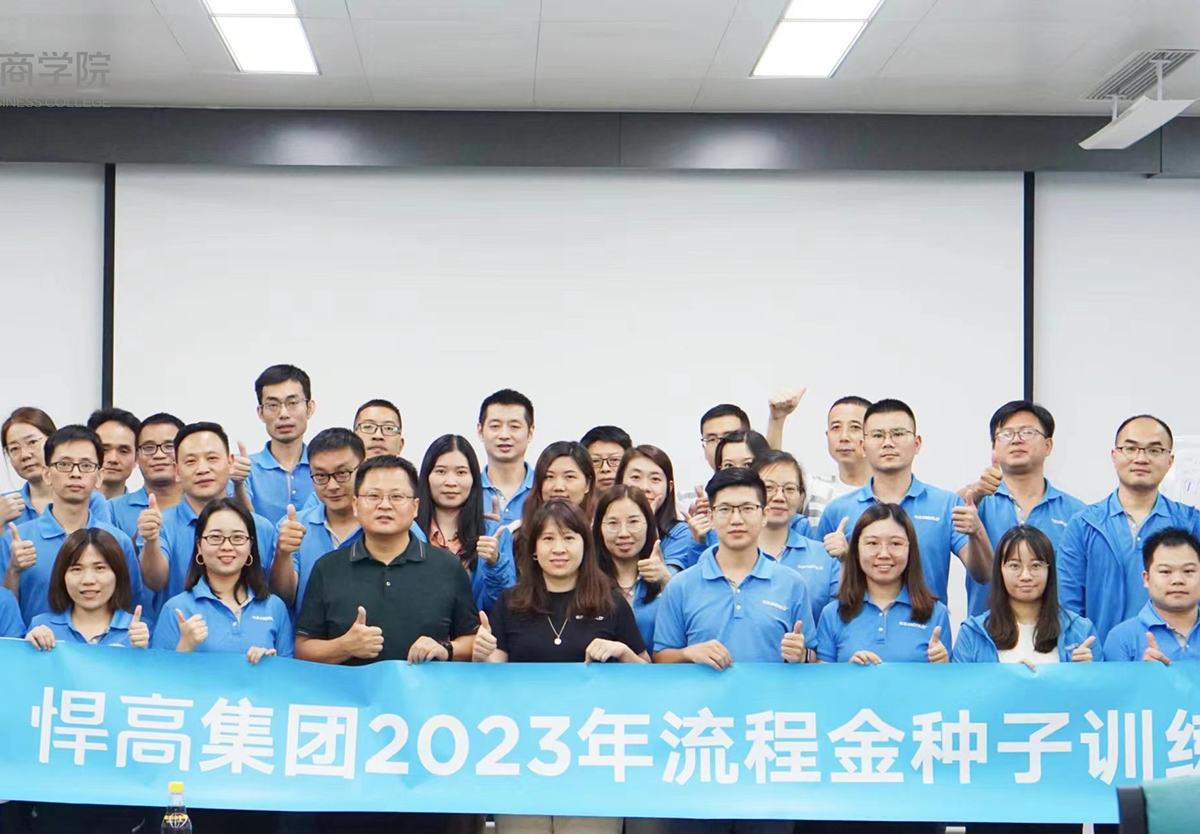 推进流程金种子项目，强化效率为王、结果导向的执行观